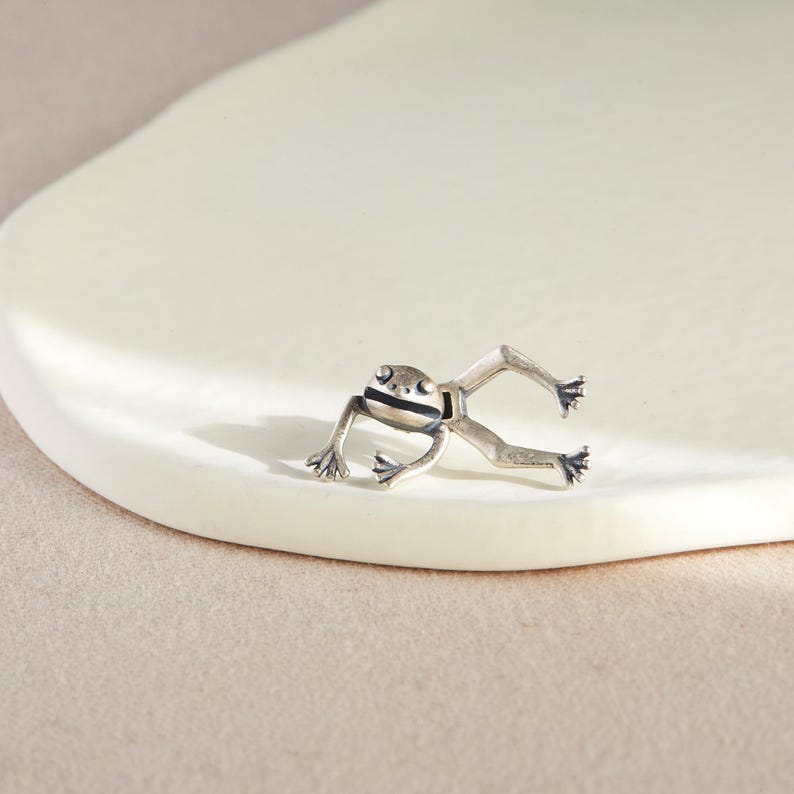 May include: A silver frog charm with black eyes and stripes. The frog is posed with its legs outstretched.