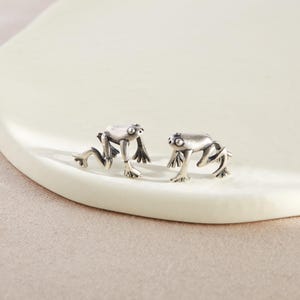 Sterling Silver Frog Earring, Frog Ear Cuff, Frog Helix Wrap Earring, No Piercing, Animal Earring, Frog Jewellery, Gift for Her, Cute Gift
