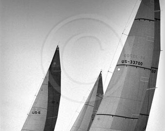 Sailing, Yacht Race, Racing Sailboats, Sailing Art