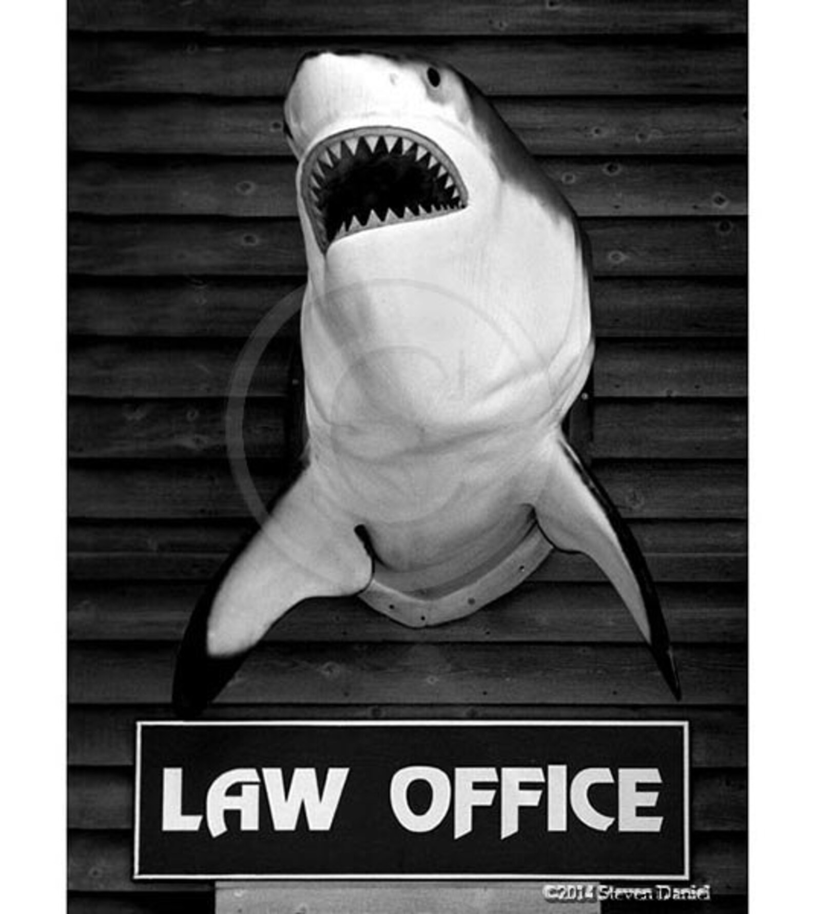 Law Office lawyer attorney shark photograph humor Etsy