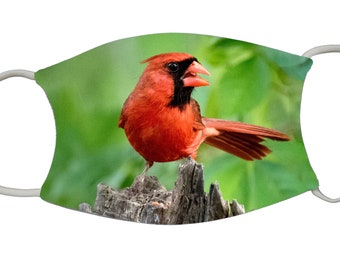 Cardinal on Stump, mask