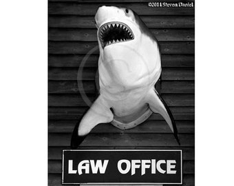 Law lawyer, attorney, shark humor, 16x24 Canvas Art Print