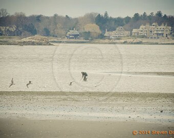 Vintage-Style Photograph, Man Clamming on Beach, Greenwich Conn