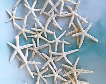 10PCS FINGER STARFISH, Set of 10 imperfect starfish, craft starfish, cheap starfish, wedding starfish, bulk irregular starfish, 2-3 inches