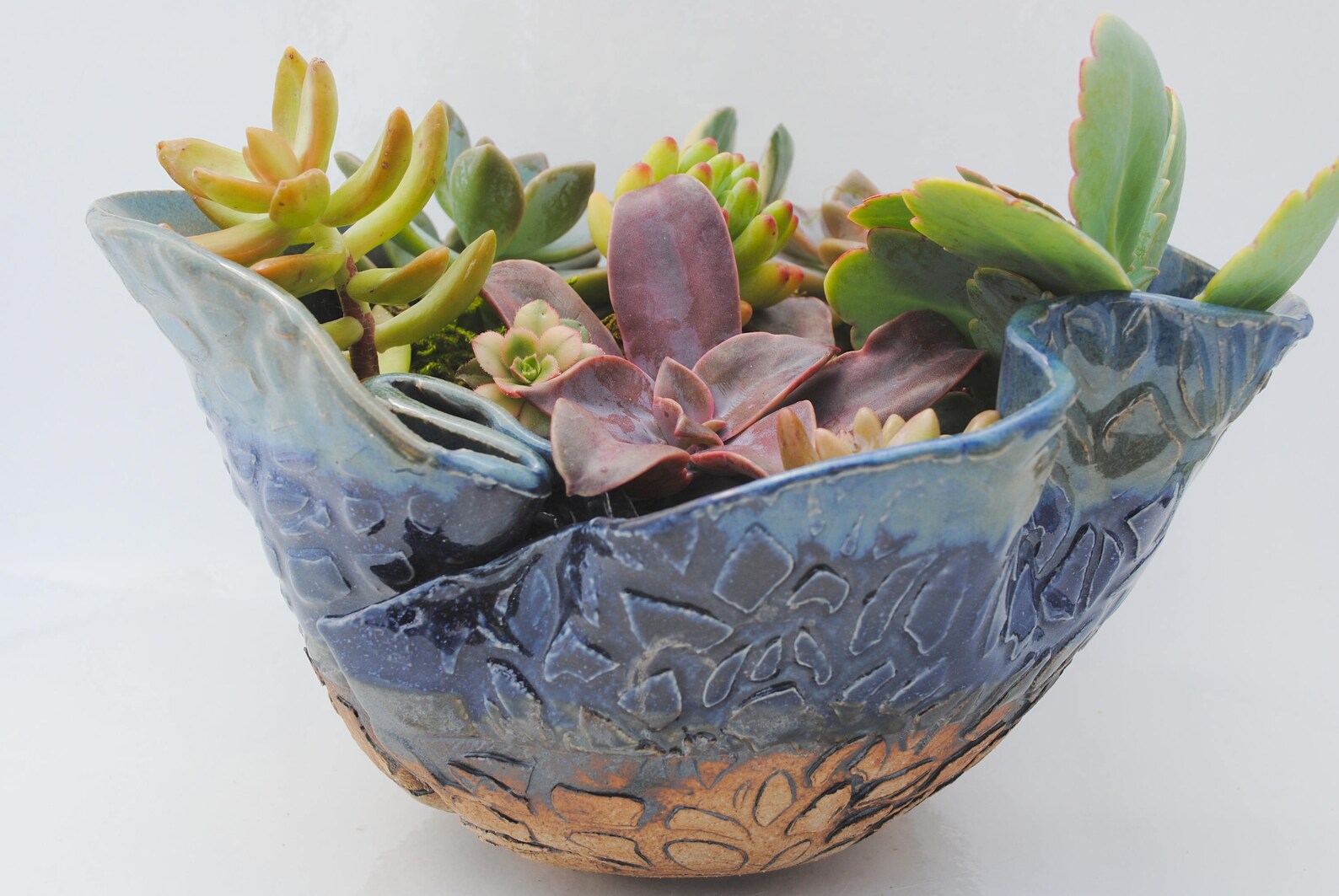Ceramic planter pot garden plant bowl cactus succulent bowl Etsy