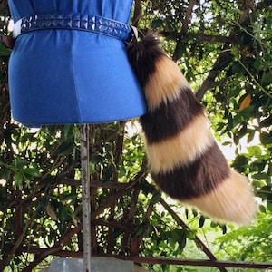 Custom Short Striped Tail