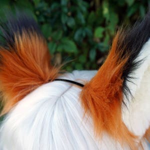 Custom Tipped Fox Ears