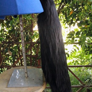 May include: A black faux fur tail with a blue fabric base and a silver metal stand. The tail is attached to the stand with a black strap. The stand is on a wooden stool.