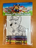 Paw Patrol Coloring Activity Packs product logo
