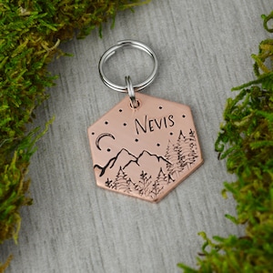 Sequoias by the Peaks Handstamped Hexagon Pet ID Tag • Personalized Pet/Dog ID Tag • Dog Collar Tag • Custom Engraved Dog Tag