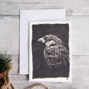 Biglietti d'auguri con illustrazione di uccelli - Confezione da 10 - Ritratto di fauna selvatica - Biglietto vuoto A6 - buste incluse