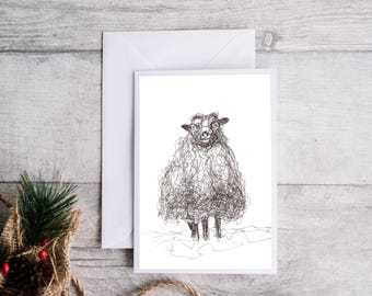 Sheep Illustration Greeting Cards - Pack of 10 - Wildlife Portrait - A6 Blank Card - envelopes included