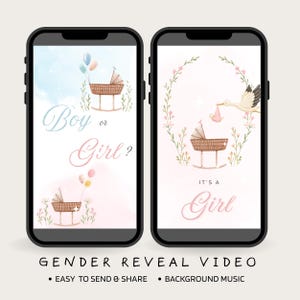 It&#39;s a Girl Gender Reveal Video, Digital Pregnacy Announcement Video, For Mobile, Social Media, Baby Announcement Video, Instant Download