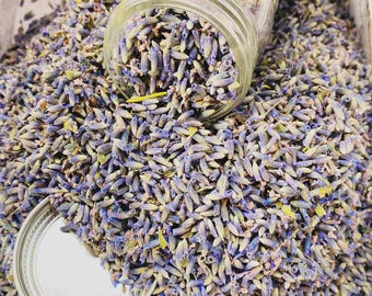 Kulinarische Lavendelknospen: Handgeerntet Bio, wählen Sie Ihre Sorte