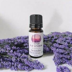 Lavender Essential Oil (grosso)