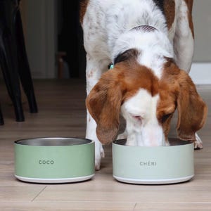 May include: Two green ceramic dog bowls with stainless steel interiors. The bowls are labeled "Coco" and "Chéri". A dog is eating from the bowl labeled "Chéri".