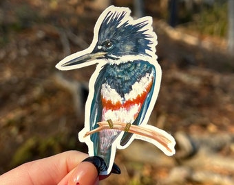 Belted Kingfisher Sticker