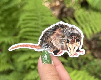 Opossum Sticker