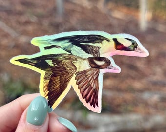 Holographic Bufflehead Ducks Sticker