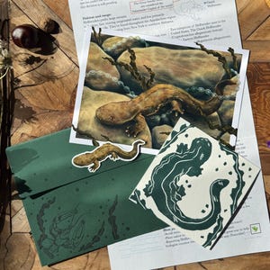 Mountain Time Mail Club March Catch-up: Eastern Hellbender