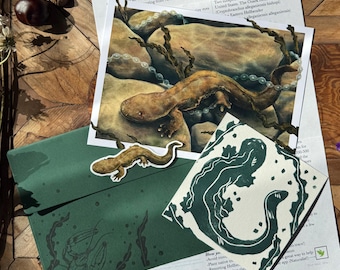 Mountain Time Mail Club April Catch-up: Eastern Hellbender