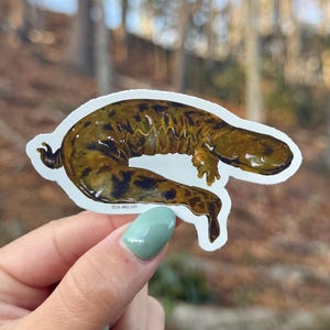 May include: A sticker depicting a salamander illustration. The salamander is brown with dark spots and a lighter underside. The sticker is held against a blurred outdoor backdrop of trees and foliage.