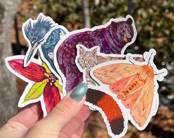Western North Carolina Flora and Fauna Sticker Pack