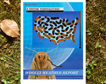 Woolly Weather Report- 5"x7" Art Print