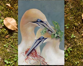 Northern Gannets- 5"x7" Art Print