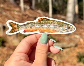 Brook Trout Sticker