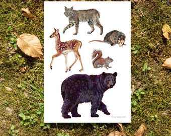 Mountain Mammals- 5"7" Art Print
