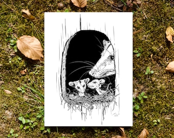 Opossums- 5"x7" Art Print