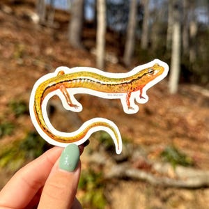 May include: A sticker featuring a detailed illustration of a lizard with a yellow, orange, and green body. The lizard has a long tail and is positioned on a white background. The text "TESIA WALLS 2024" is printed on the sticker.