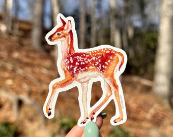 White Tailed Deer Fawn Sticker