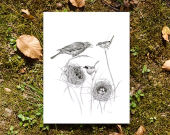 Parental Parasitism- 5"x7" Art Print