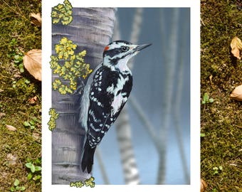 Hairy Woodpecker 8"x10" Fine Art Print