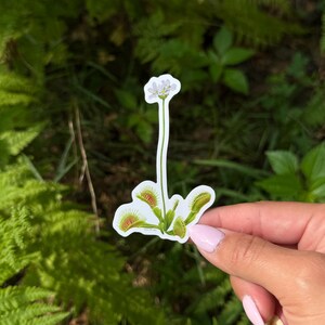 Venus Flytrap Sticker