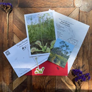 Mountain Time Mail Club August Catch-up: Venus Flytrap