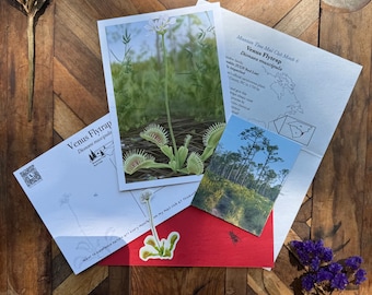 Mountain Time Mail Club August Catch-up: Venus Flytrap
