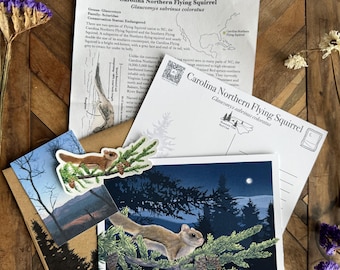 Mountain Time Mail Club July Catch-up: Carolina Northern Flying Squirrel