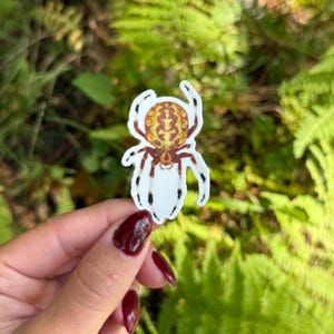May include: A die-cut sticker featuring a detailed illustration of an orb-weaver spider. The spider has a round, golden-yellow abdomen with intricate brown markings, and long, slender legs coloured in alternating segments of dark brown and white.