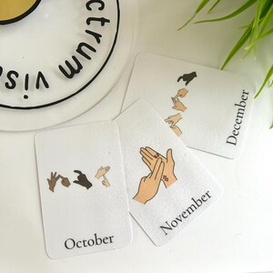 12 stuks BSL Months of the Year Britse gebarentaal visuele ondersteuning dove flashcards en magneten