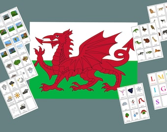 Learning Welsh Flashcards; weather; animals ect