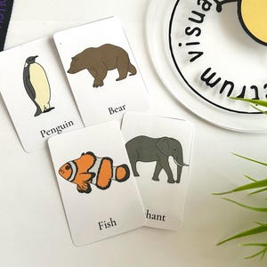 Cartes magnétiques aimantées, support visuel animal, apprentissage à domicile, emballage de 18 ENVOYER Montessori *article physique*