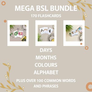 Over 170 British Sign Language Flashcards BSL learning visual support Deaf resources *physical item*