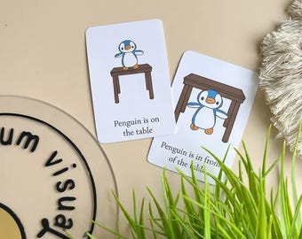 7pk Preposition Flashcards Illustration Home Education Visuals