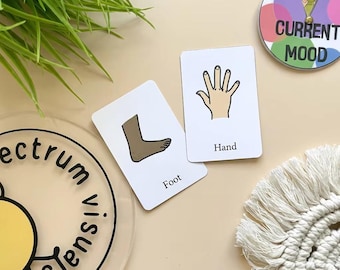 18 pk Parts of the Body Flashcards visuals home learning