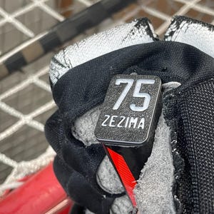 May include: Black hockey stick with a red stripe and a black and white label that says "75 ZEZIMA".