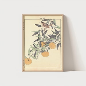 Impresión de pájaro vintage, arte japonés, impresión de arte natural tradicional, póster de pájaro Japandi, póster Ukiyoe, póster japonés, arte asiático, arte mural de verano.