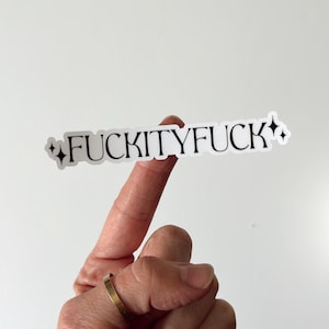 FuckityFuck Sticker - Explicit Humor - Sarcastic Funny Kindle Sticker, Water Bottle Sticker, Waterproof Sticker, Adult Humor, Kindle Decor